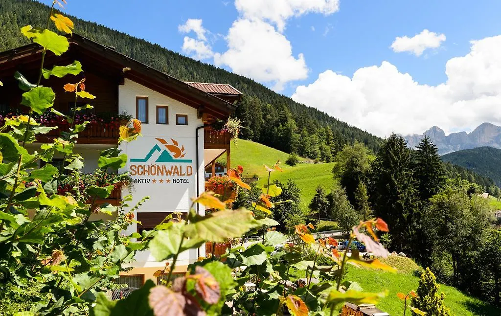 Aktiv Hotel Schoenwald-1