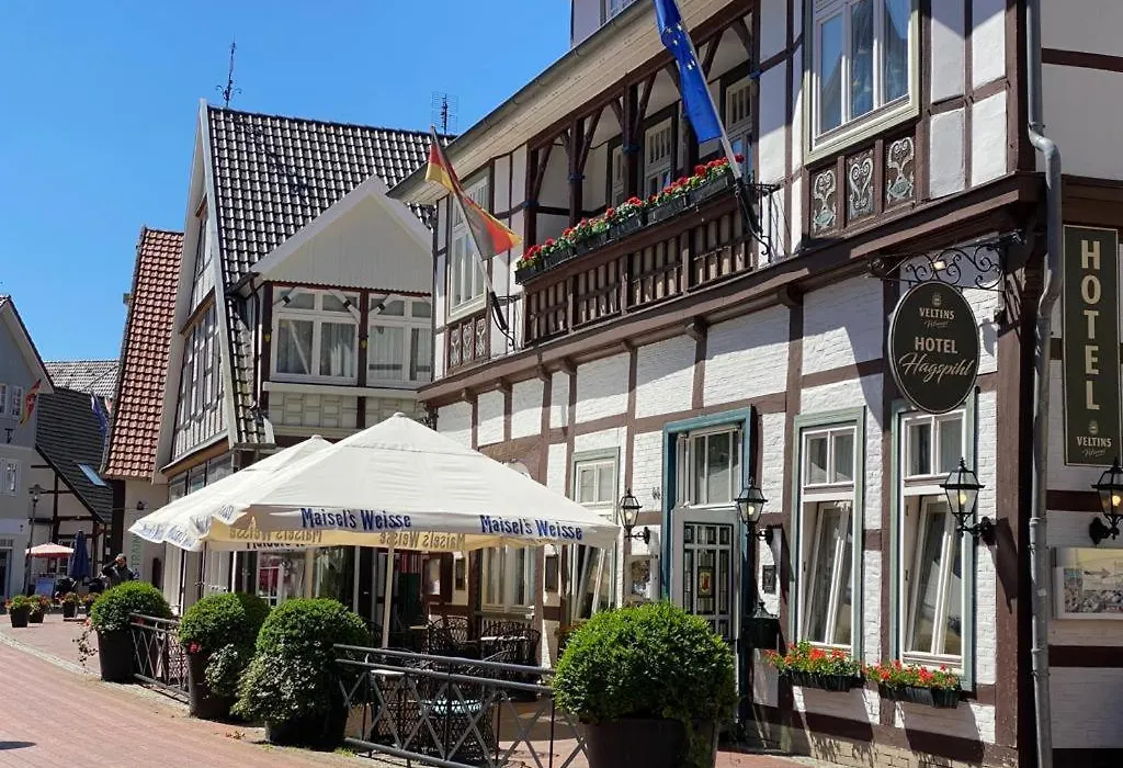 Hotel Hagspihl-1