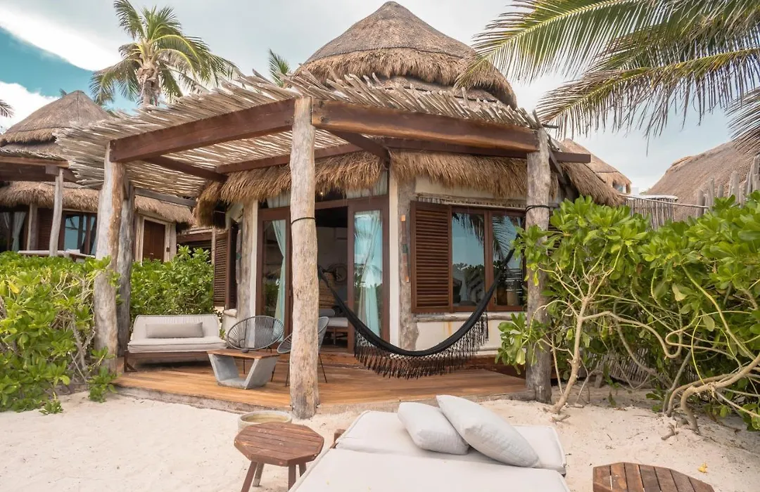 Delek Tulum-1