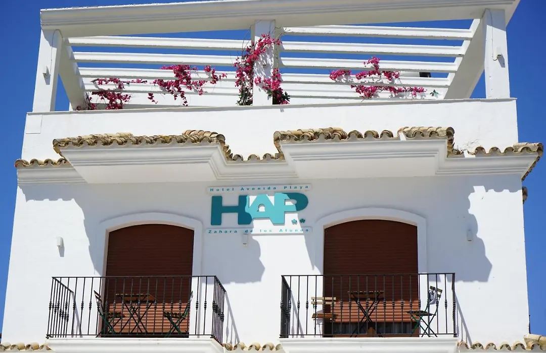 Hotel Avenida Playa-1