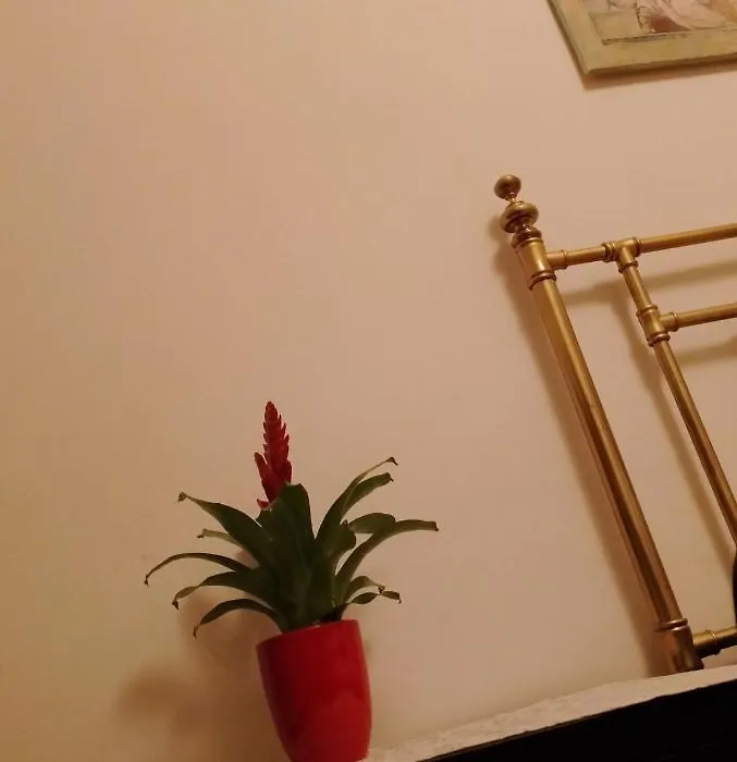 Big Room In Private Appartament, Close To The Station And Center Of City-1