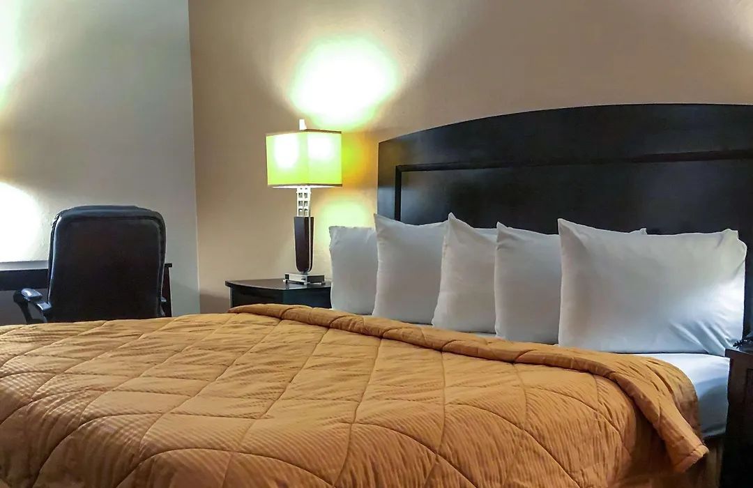 Mesilla Valley Days Inn & Suites-1
