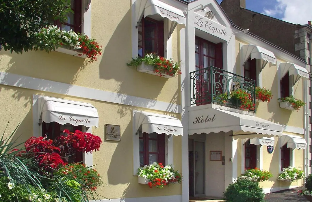 HOTEL LA COGNETTE A 25 Kilomètres de Châteauroux et 30 Kilomètres de Bourges-1