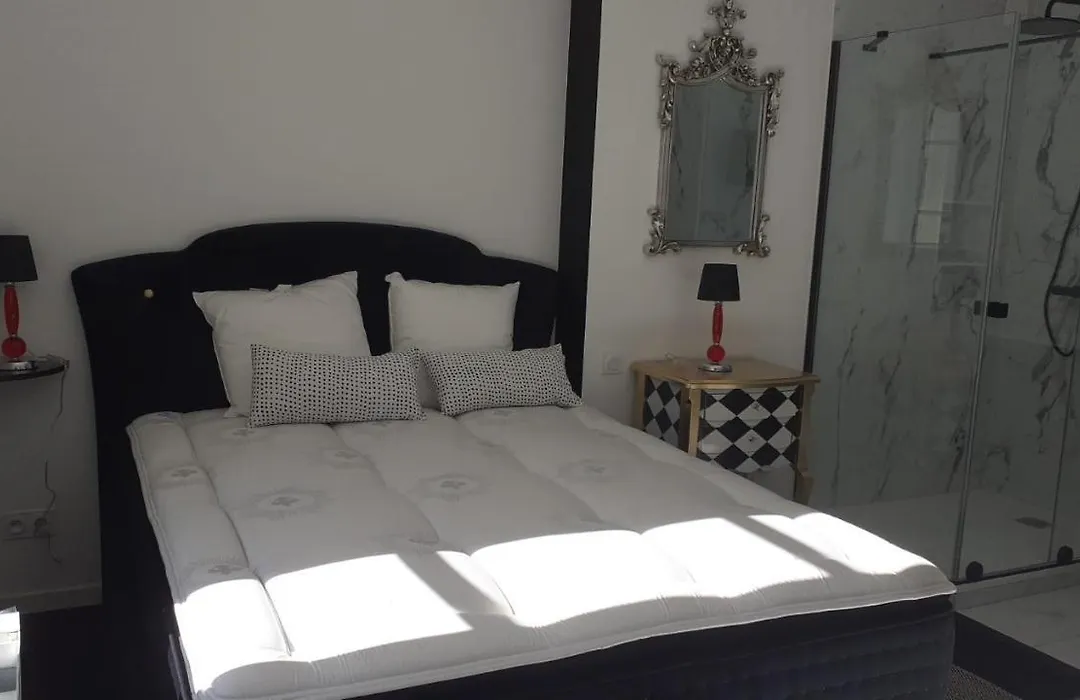Appartement OH! Duc de Sully-1