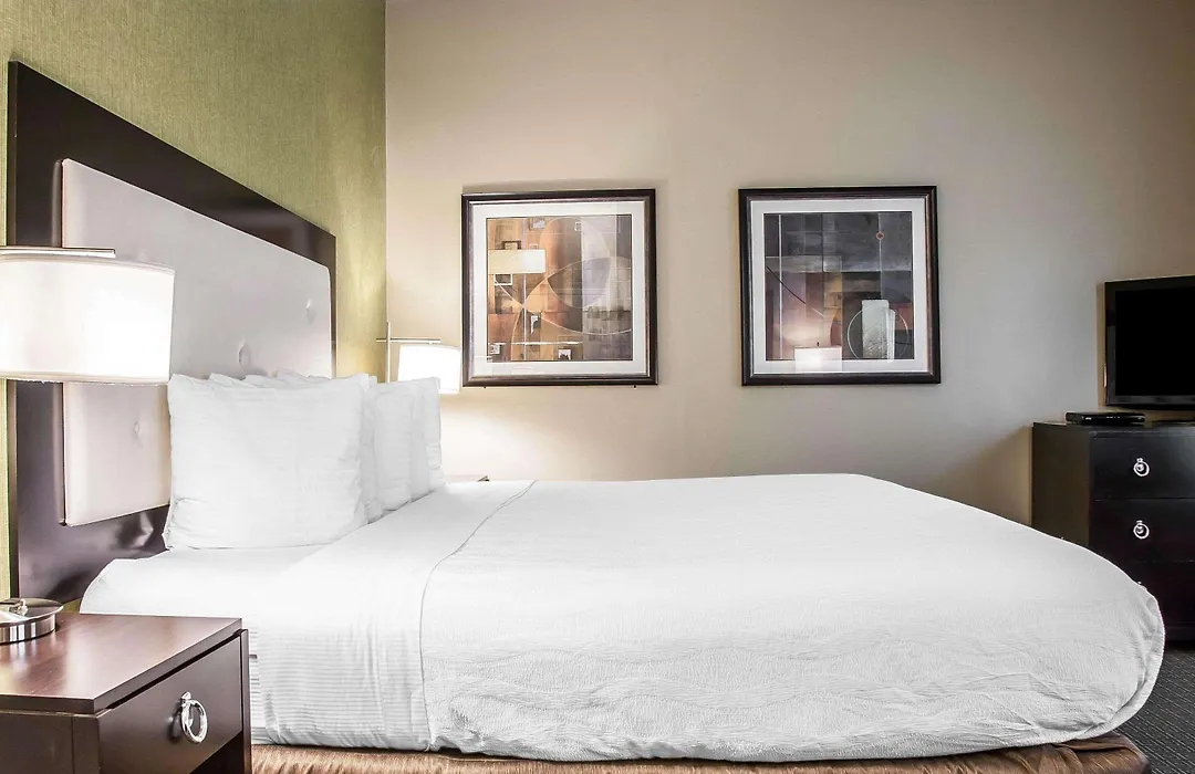Envision Hotel Boston-Longwood, Ascend Hotel Collection-1
