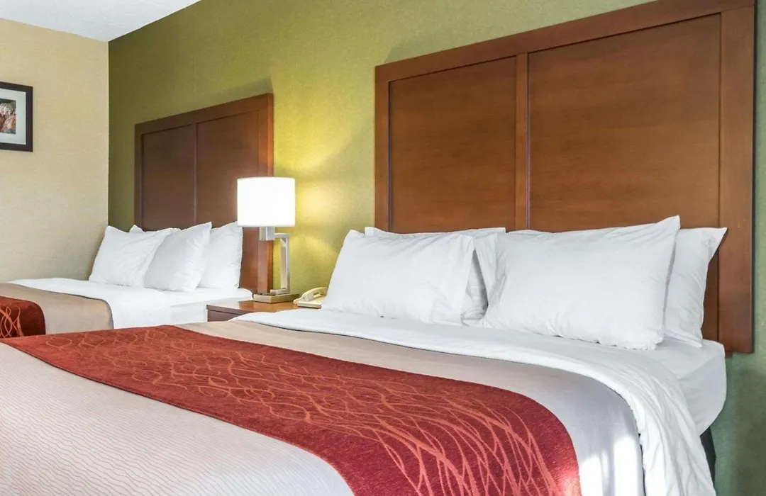 Comfort Inn Winchester-1
