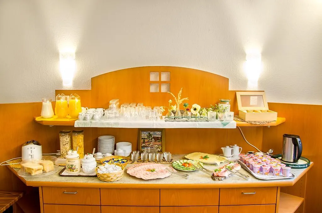 Hotel Hirsch-1