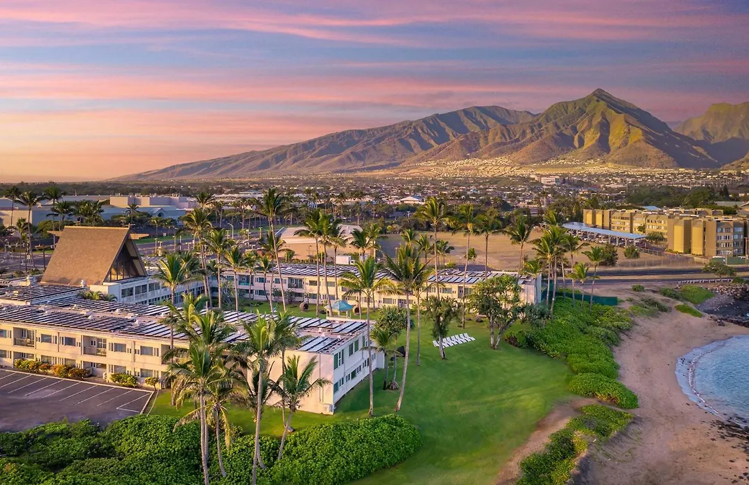 Maui Beach Hotel-1