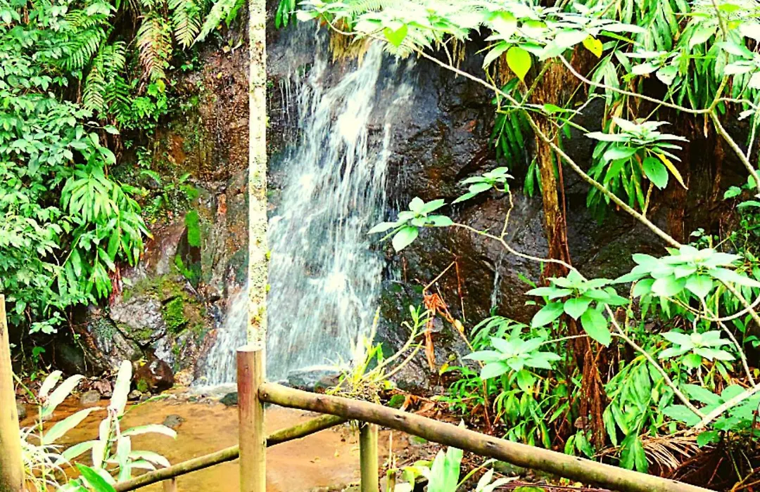 Pousada Bocaina-1