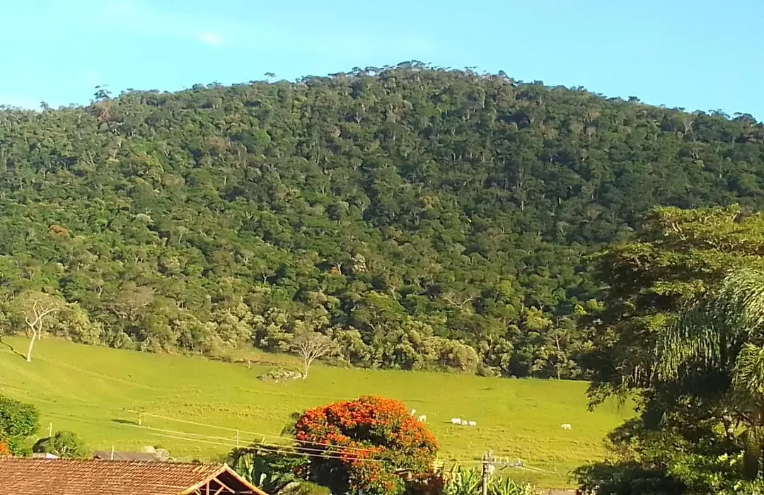 Pousada Xato-1