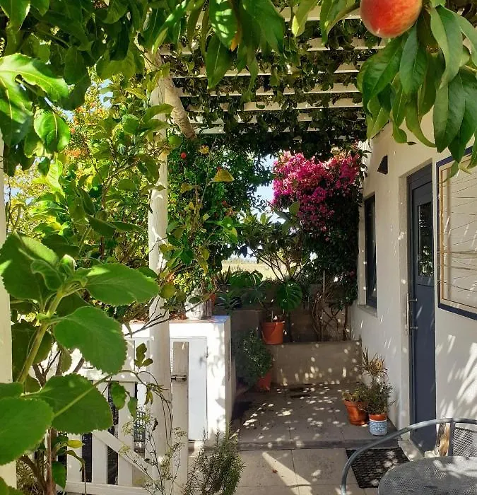 Zenergy - Guest House-1