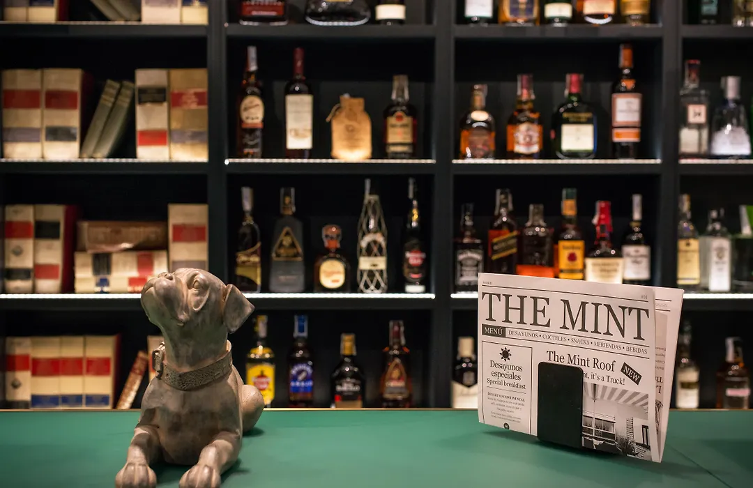 Vincci The Mint-1