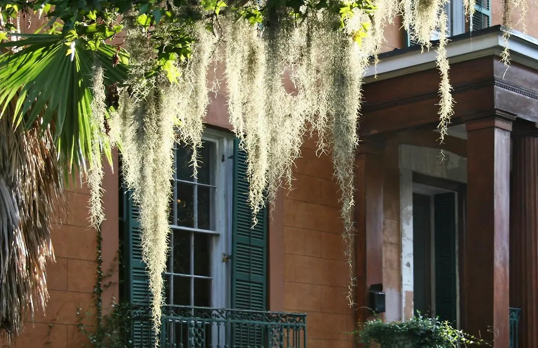 Hotel Indigo Savannah Historic District By Ihg-1
