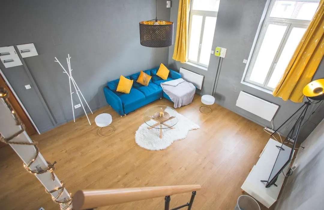 Colocation de luxe à Tourcoing avec jardin-1