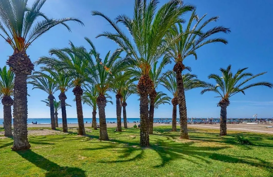 Studio La Carihuela-1