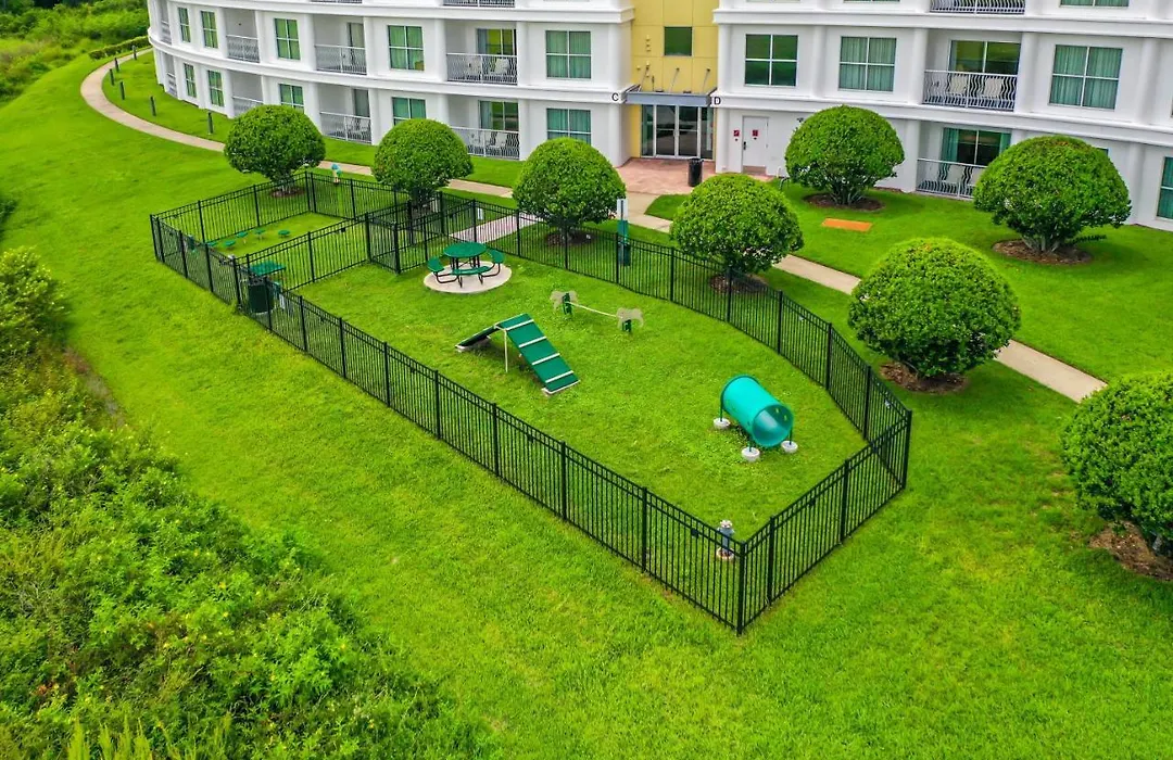 Pet Friendly In Orlando Area Near Disney And Espn Center-1
