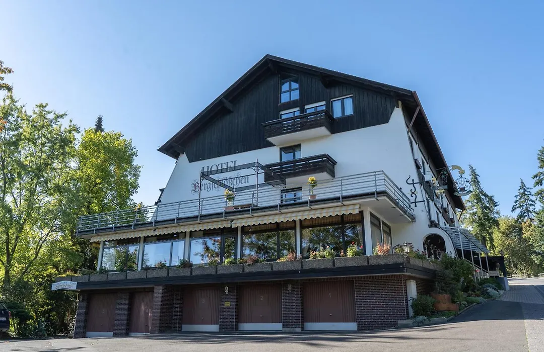 Hotel Bergschlößchen-1