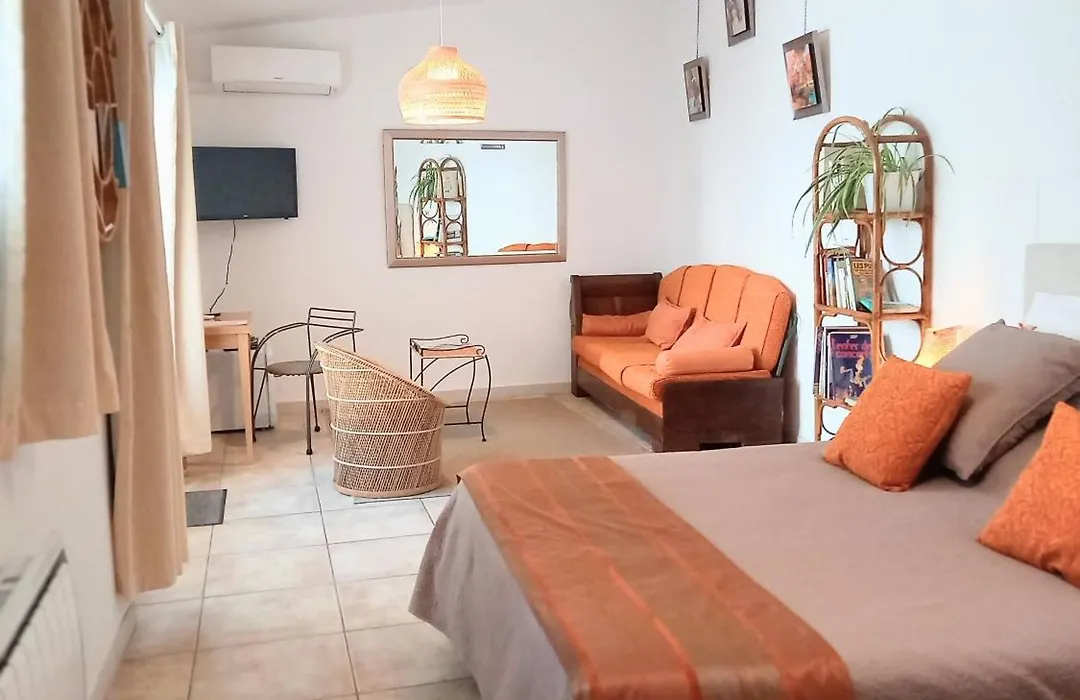 Hôtel Particulier Payan Champier-1