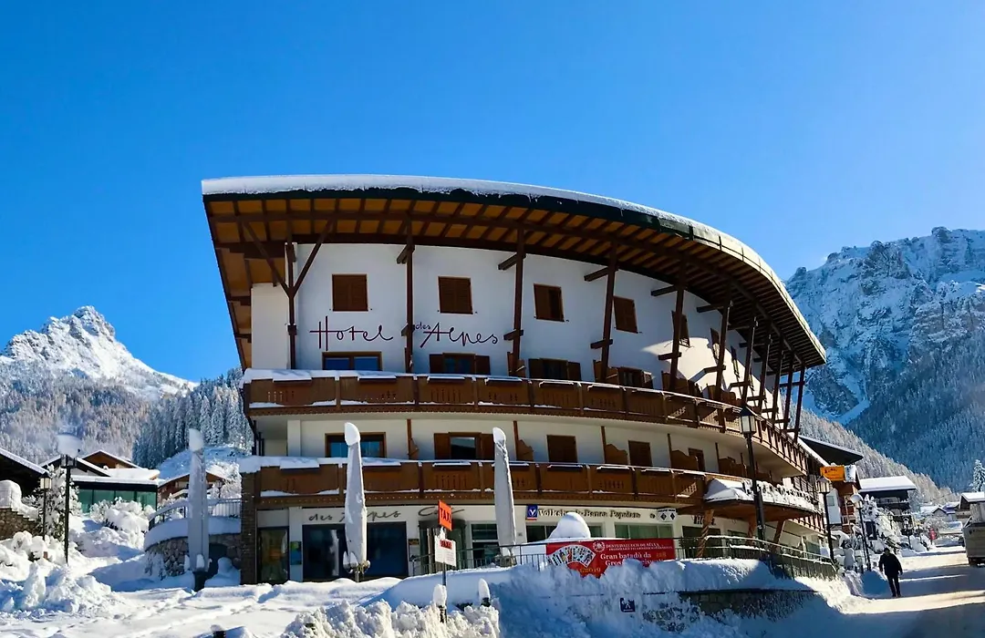 Hotel Des Alpes-1