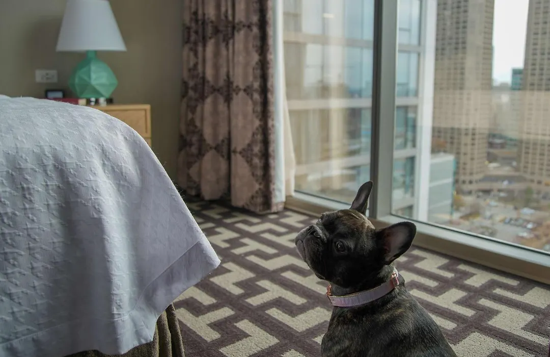 Homewood Suites By Hilton Chicago West Loop Fulton Mkt Area-1
