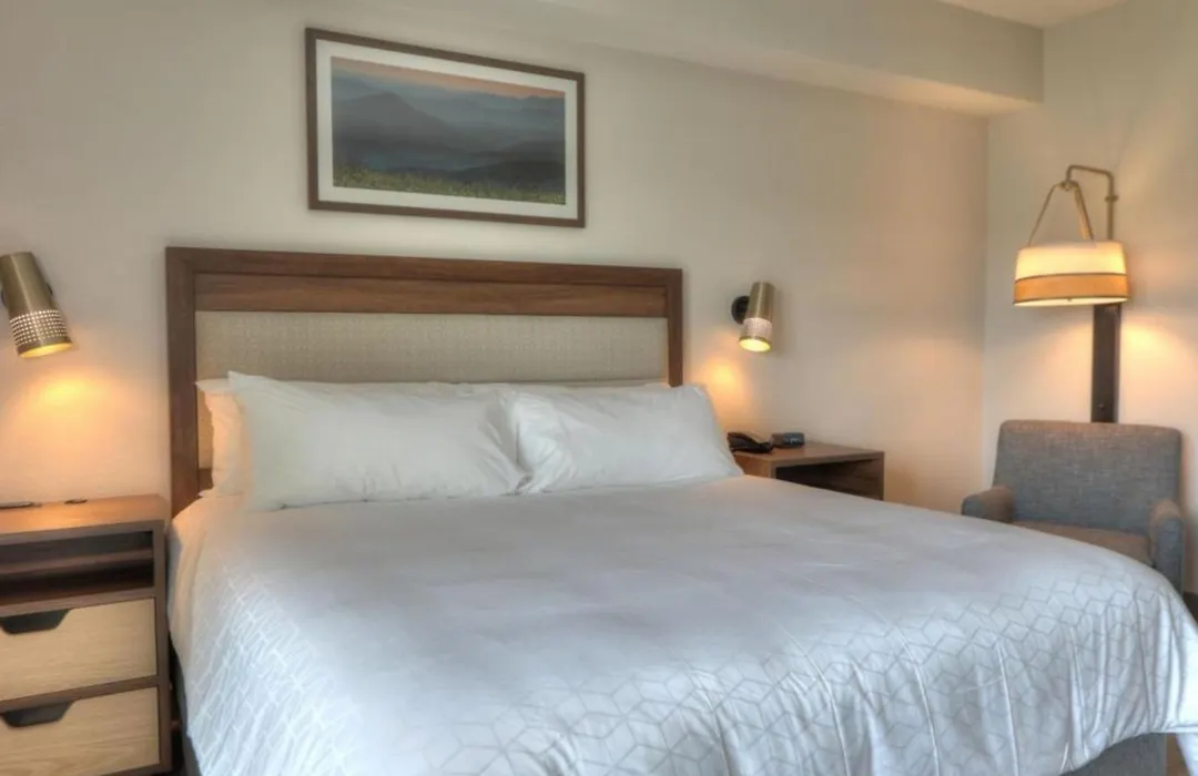 Holiday Inn & Suites Pigeon Forge Convention Center By Ihg-1