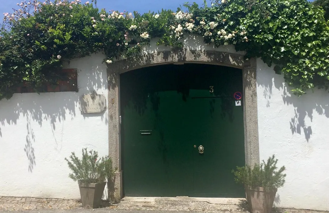 Villa Branca Jacinta-1