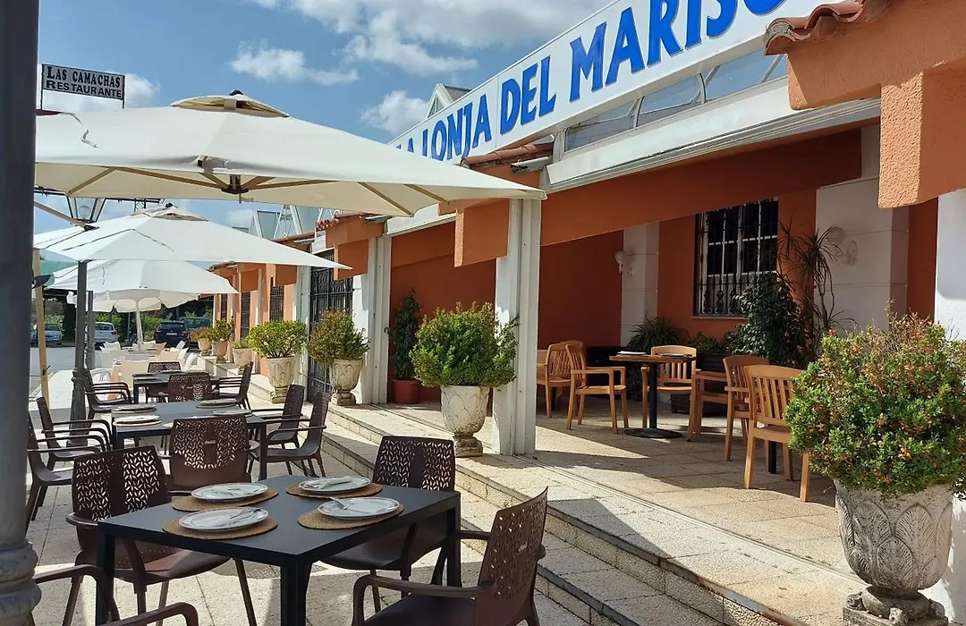 Hotel Don Gonzalo-1