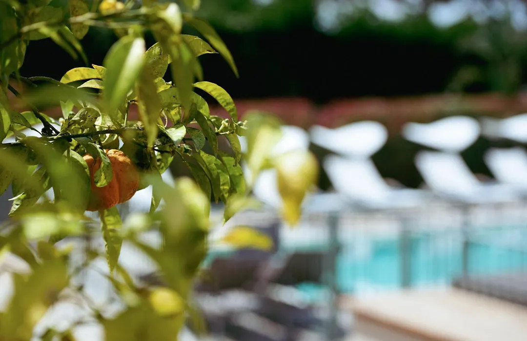 Boutique Hotel Villa Fabulite-1