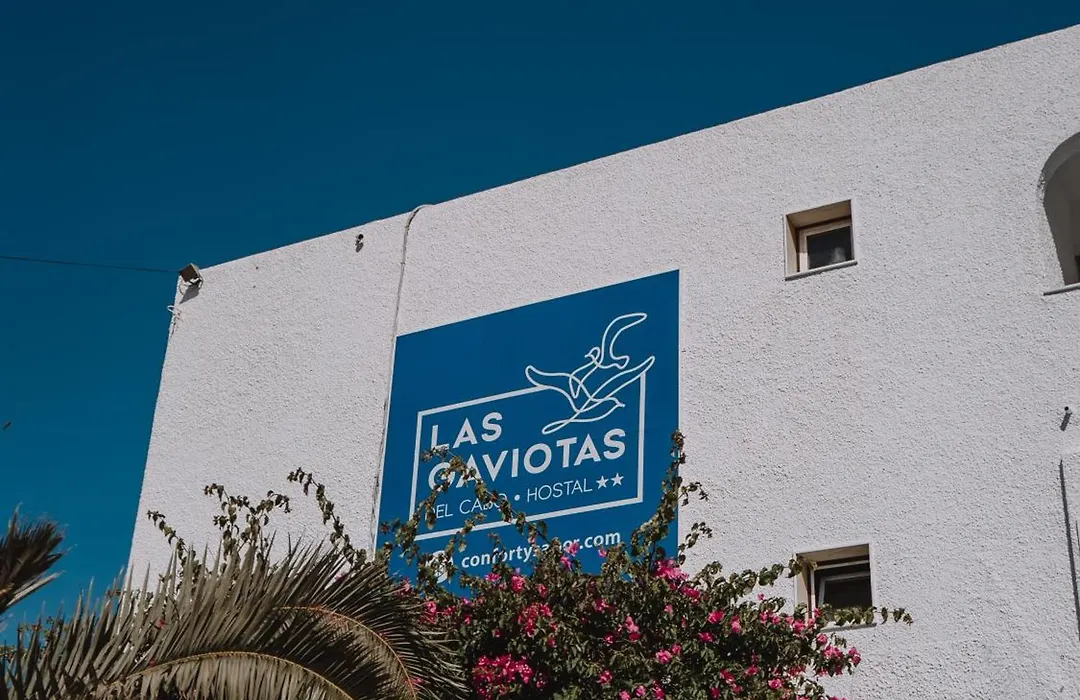 Hostal Las Gaviotas-1