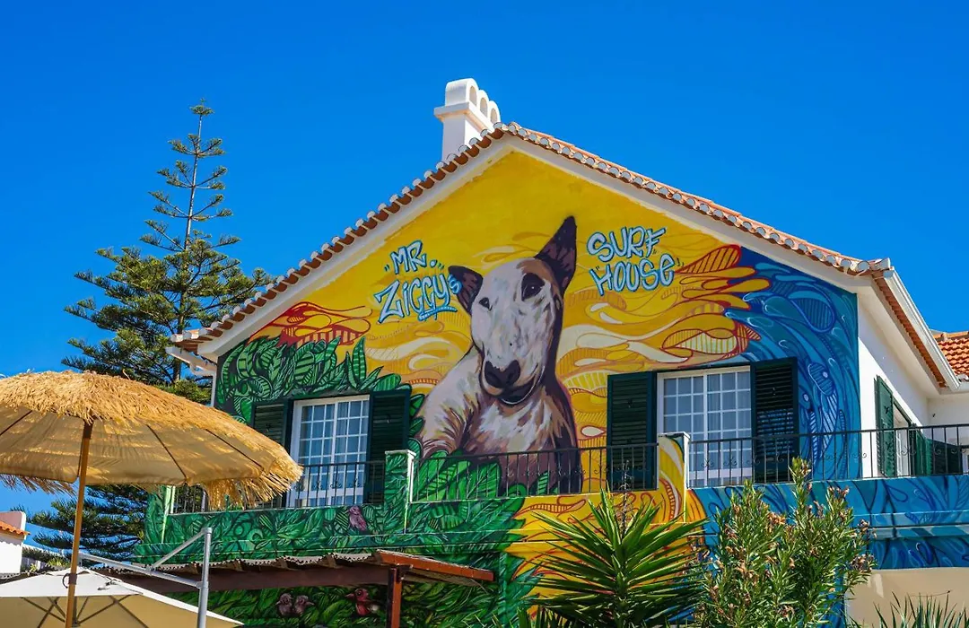 Mr Ziggy'S Surfhouse-1