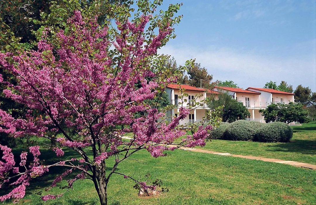 Ai Pini Medulin Resort-1