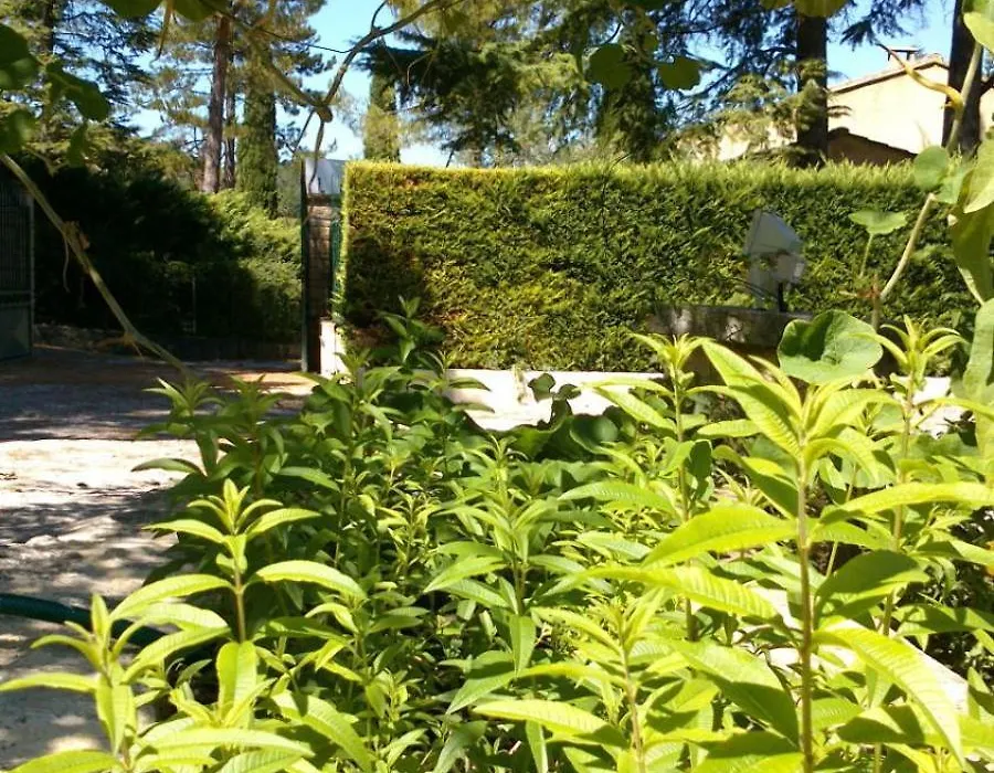 Les Verveines de Vaison-1