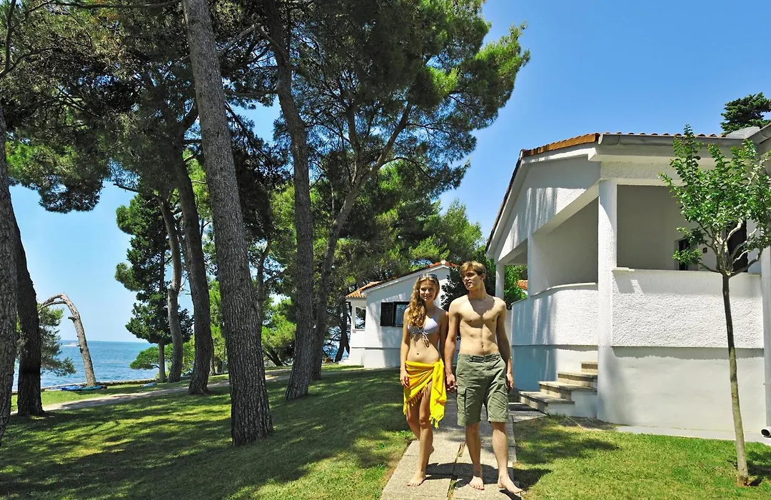 Villa Galijot Plava Laguna-1