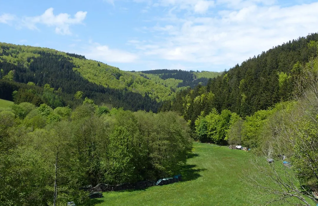 Cafe-Pension Waldesruh-1