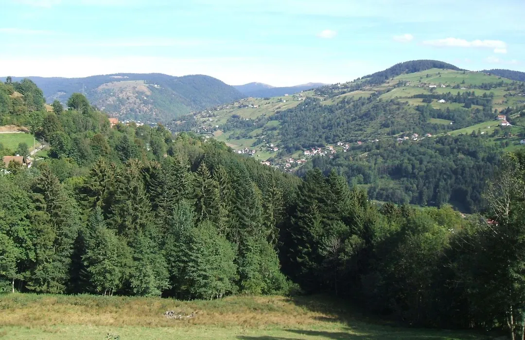 La Ferme du Vieux Sapin-1
