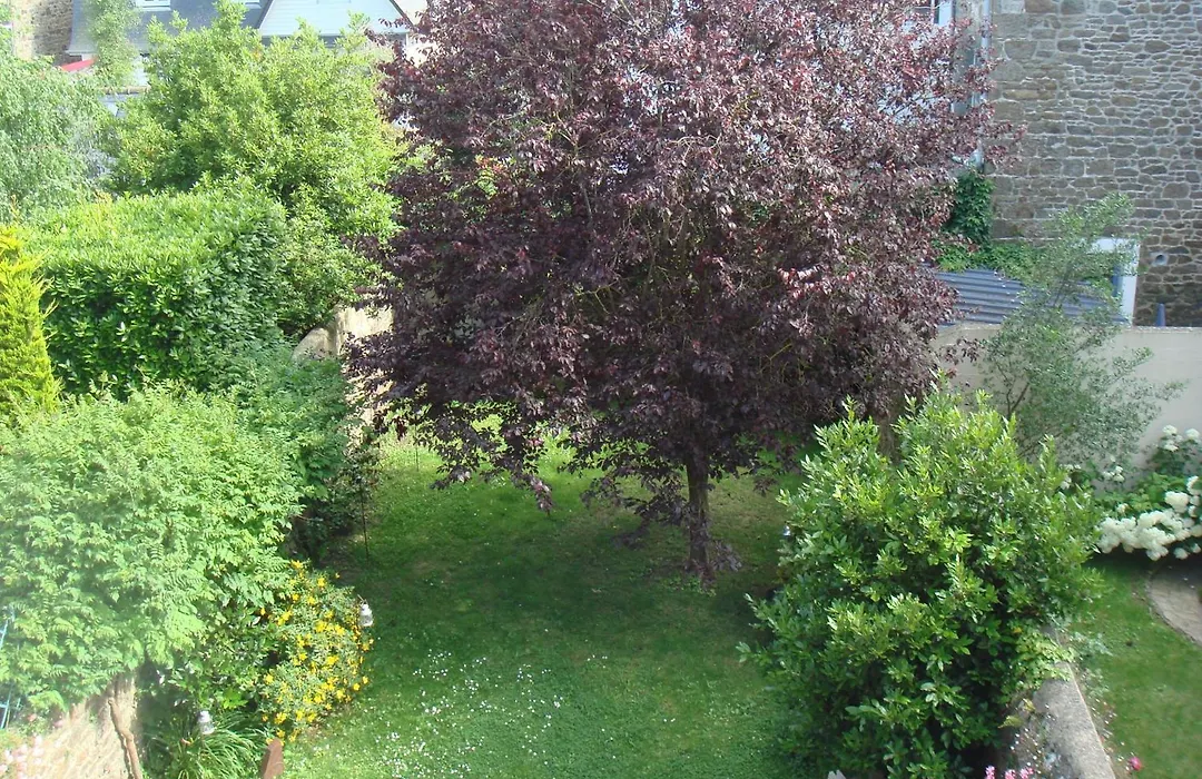 B&B Maison Angélus-1