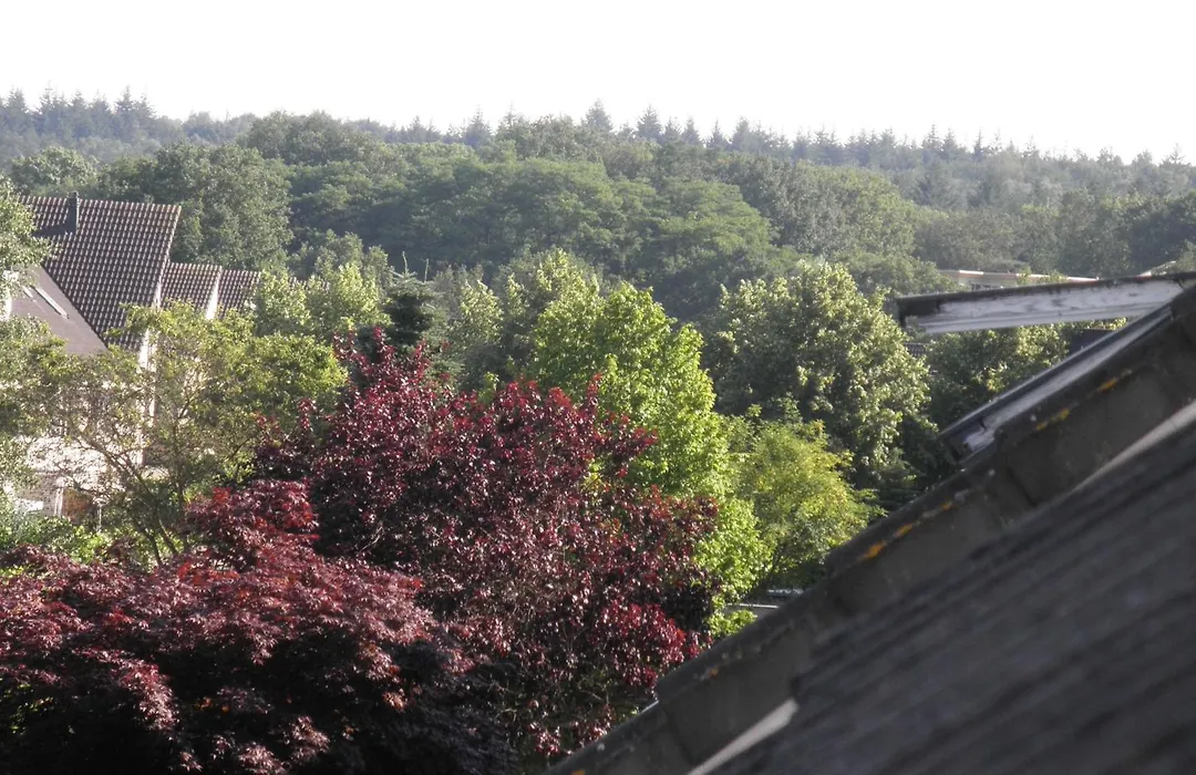 Teska Bed & Breakfast-1