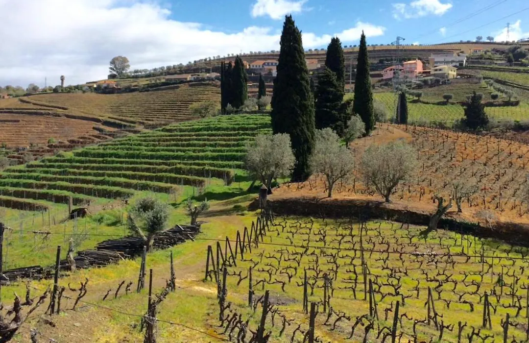 Quinta do Fôjo-1
