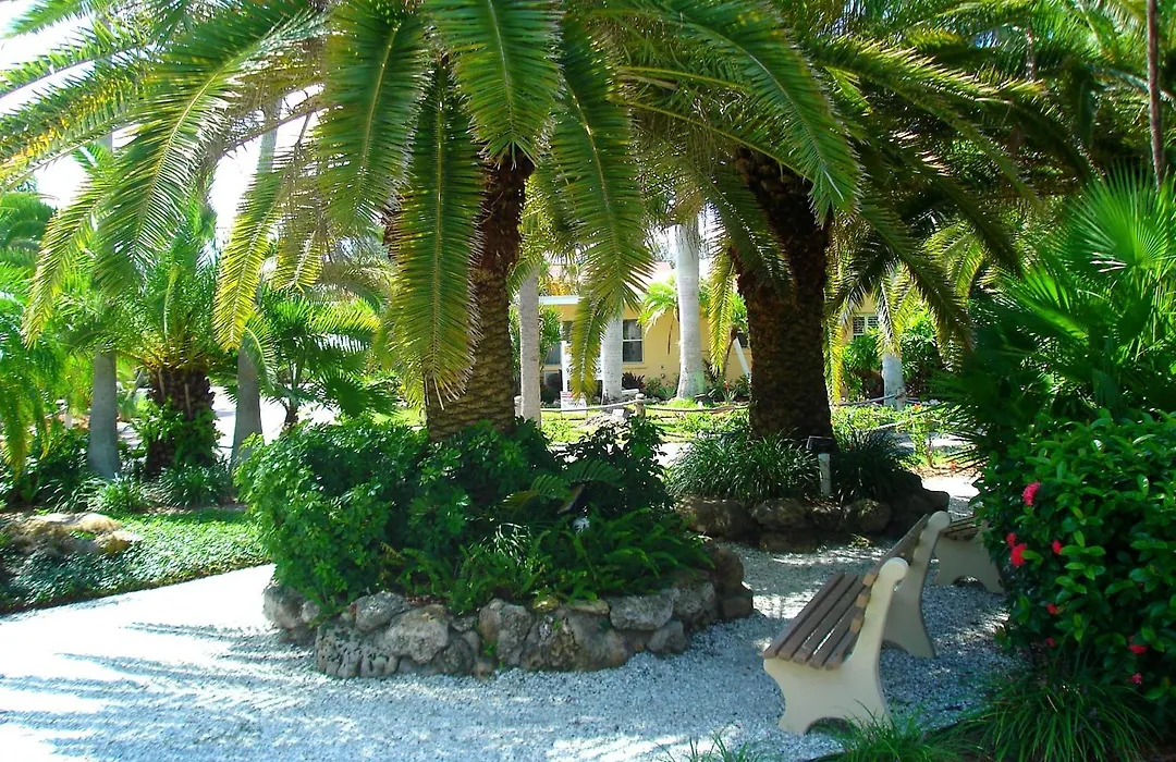 Tropical Beach Resorts - Sarasota-1