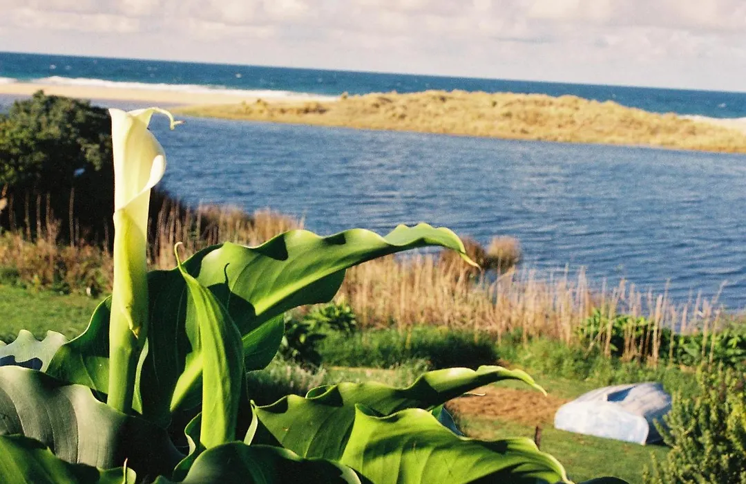 Apollo Bay Guest House-1