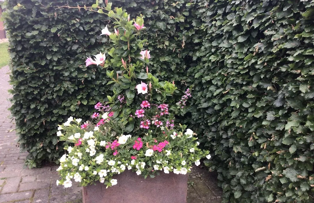 B&B De Veluwe Hoeve-1