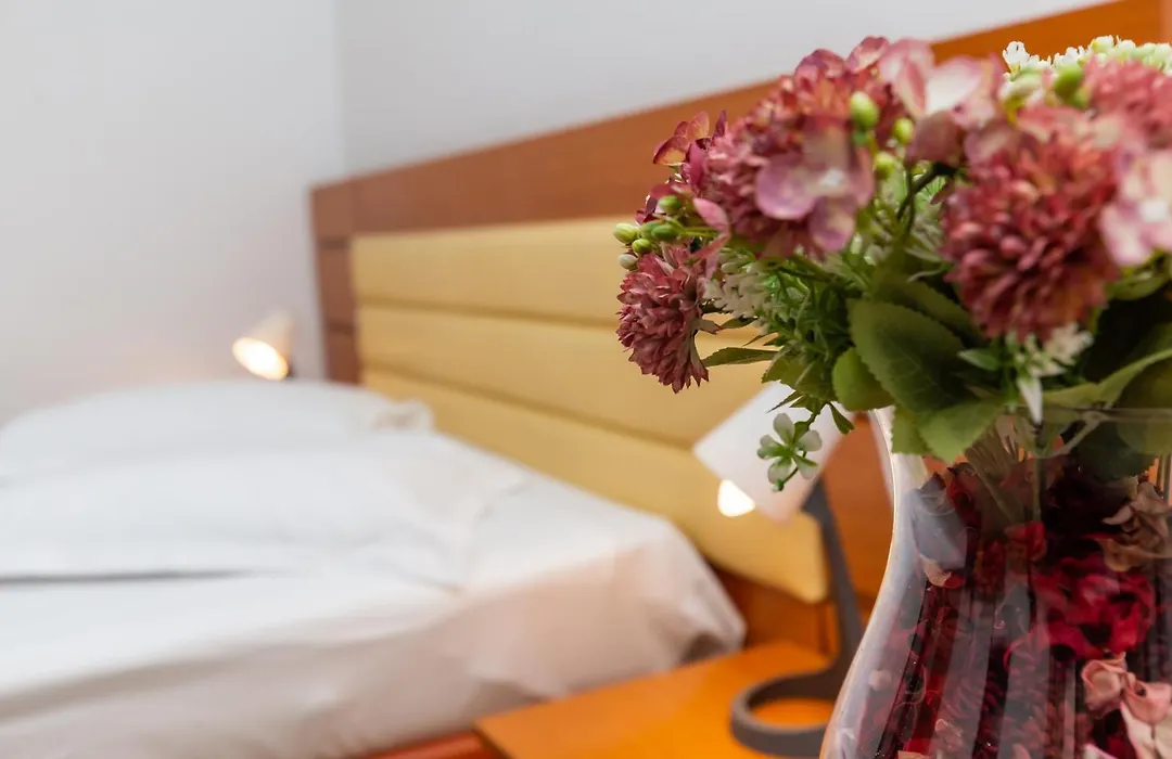 Hotel Sir Colentina-1