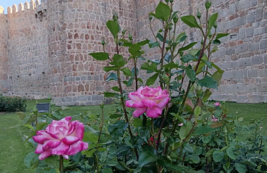 Hotel Don Carmelo-1