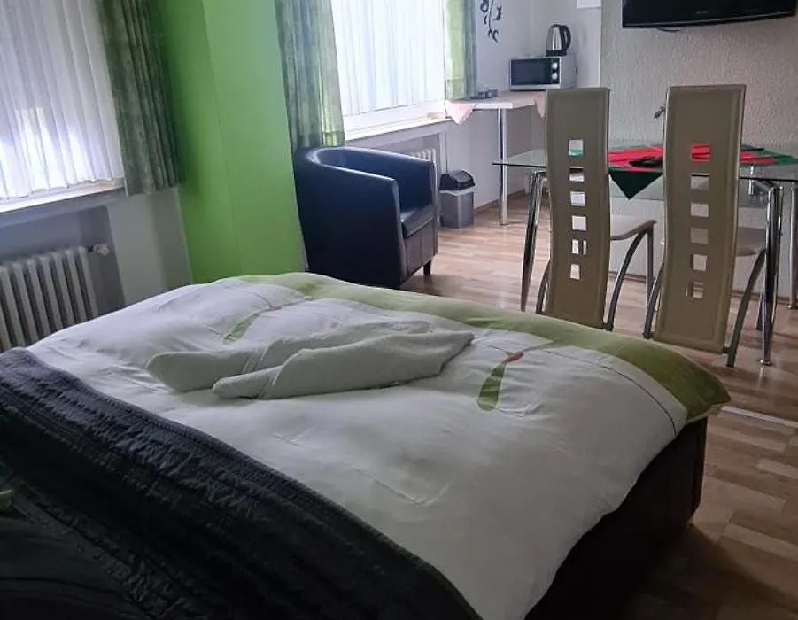 Hotel Zur Aue-1