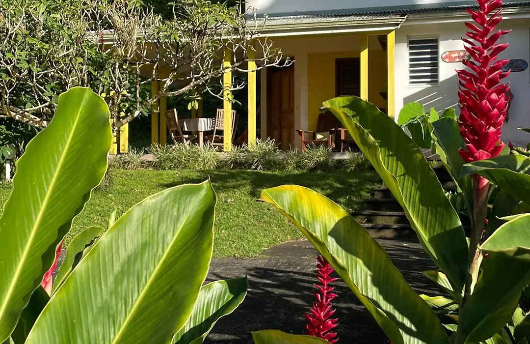 Les Cycas-1