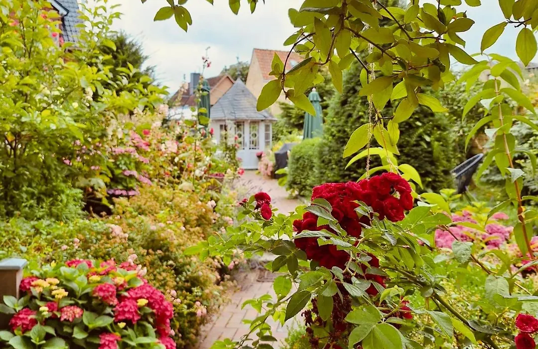 Hotel Bed&Breakfast am Dom-1
