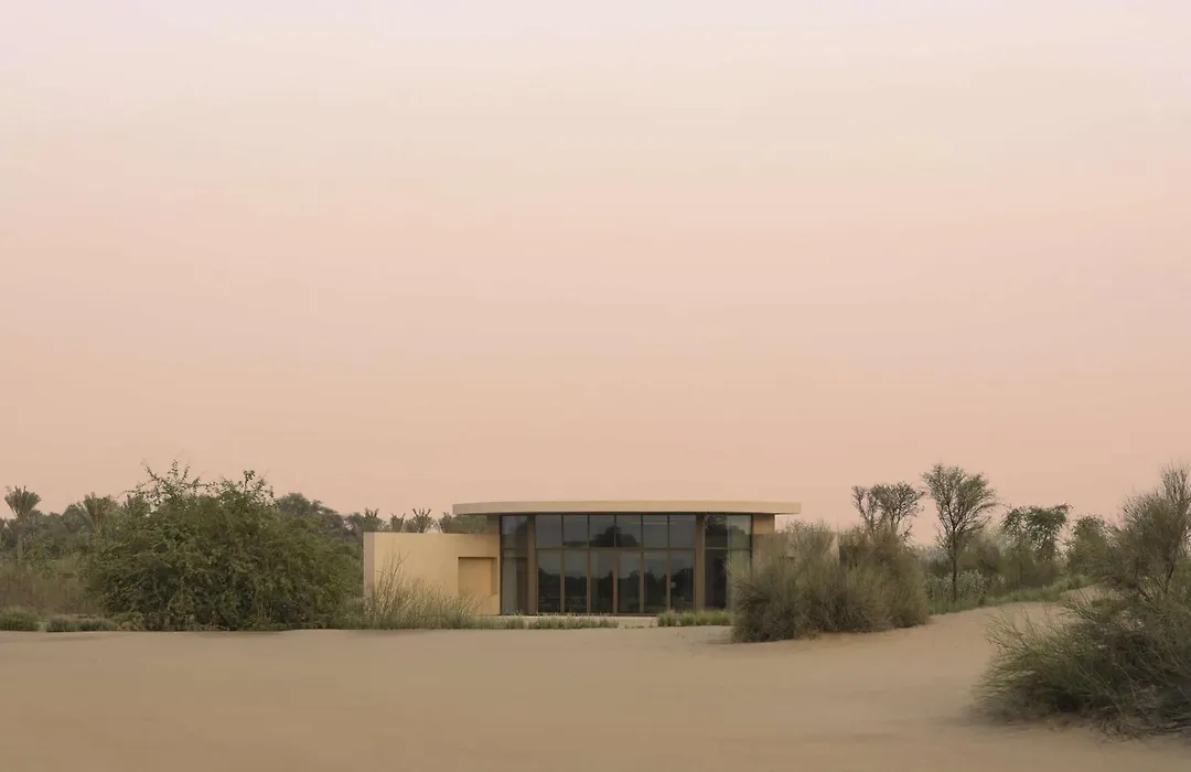 Rare Finds Desert Resort-1