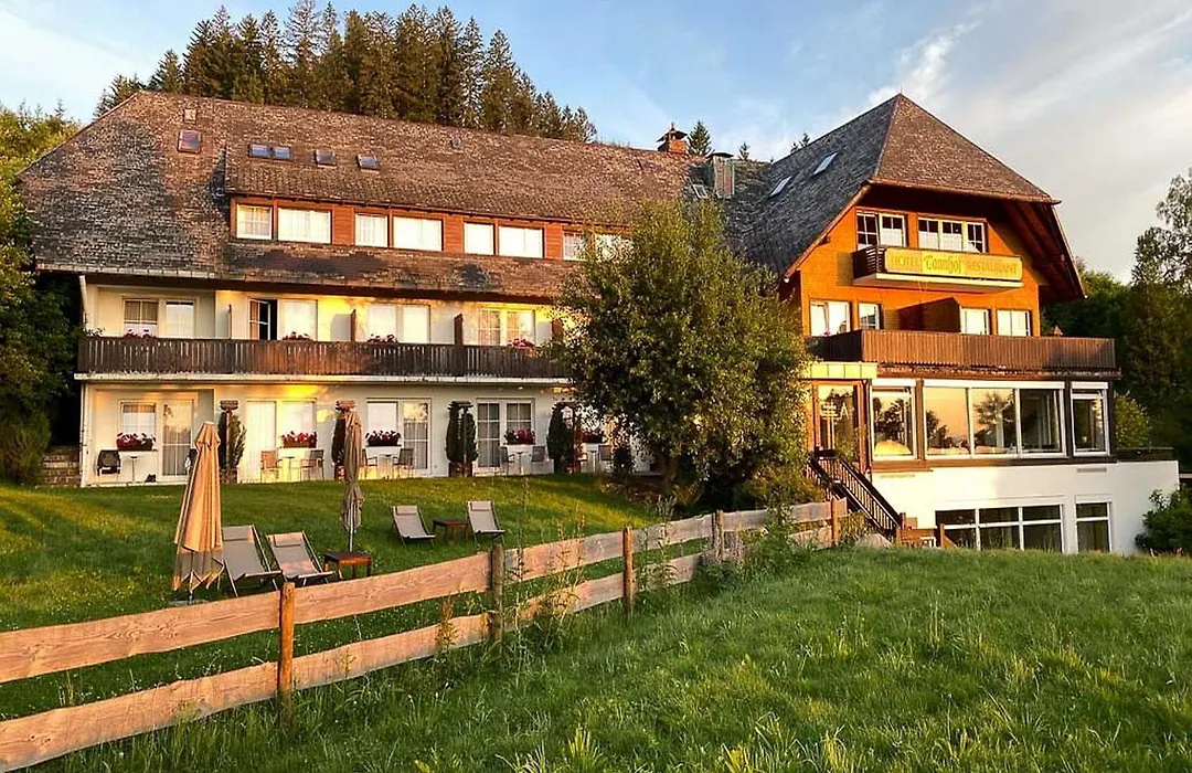 Hotel Tannhof-1