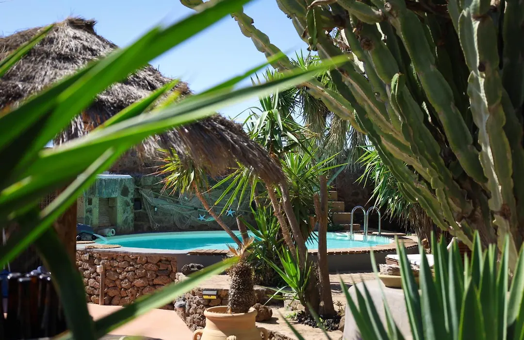 Cactus b&b Le casette di Marilena-1