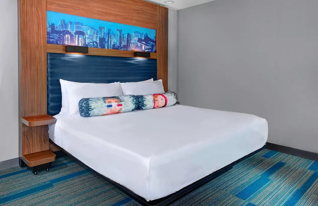 Aloft By Marriott Raleigh-Durham Airport Brier Creek-1